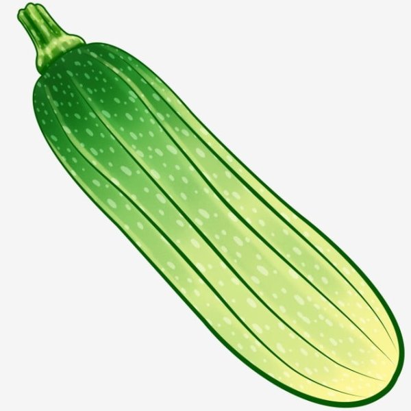 Кабачок вектор