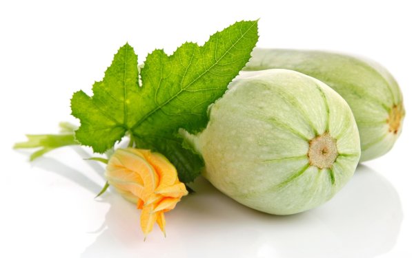 Кабачок на белом фоне