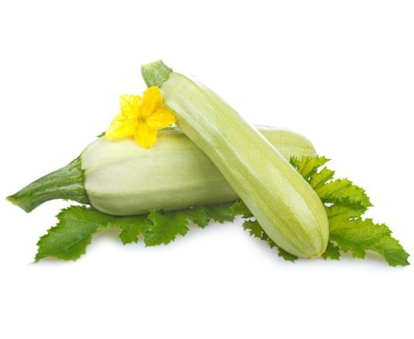 Кабачок f1 Бетси