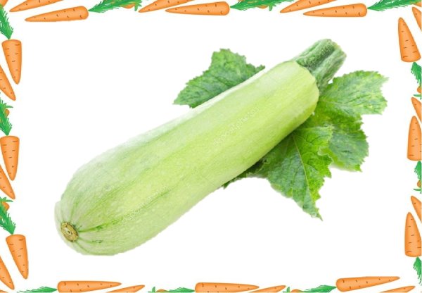 Изображение кабачка