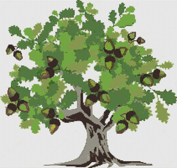 Дуб Желудь вектор