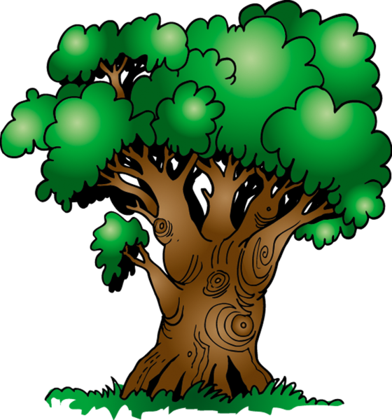 Дерево из сказки