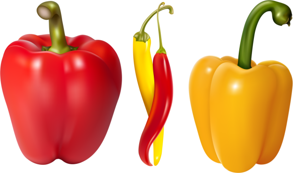 Перец для дошкольников