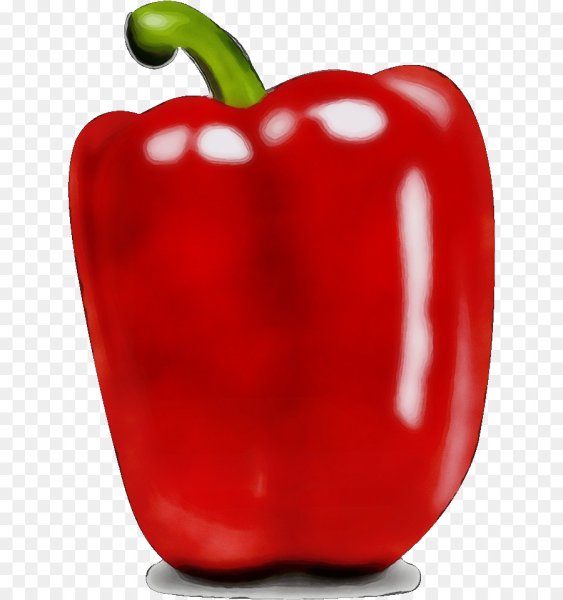 Перец для дошкольников