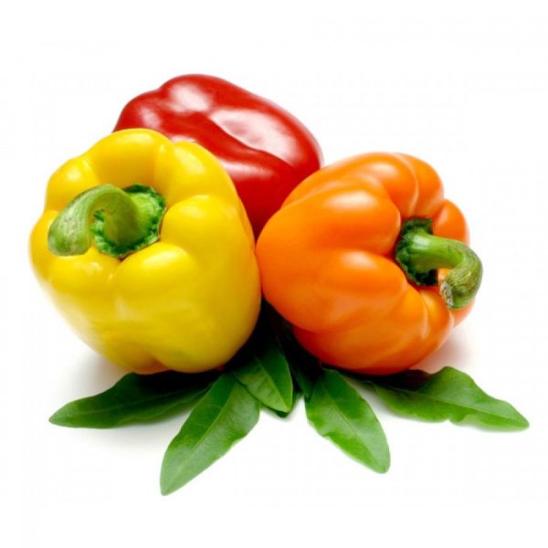 Сладкий болгарский перец