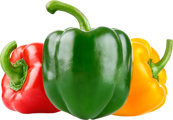 Болгарский перец на белом фоне