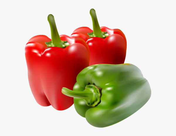 Болгарский перец