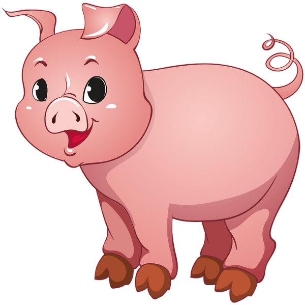 Свинья рисунок