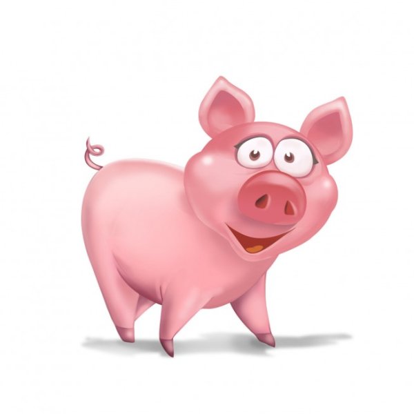 Свинья на прозрачном фоне