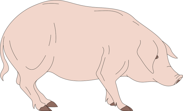 Свинья мультяшная