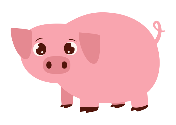 Свинья на белом фоне