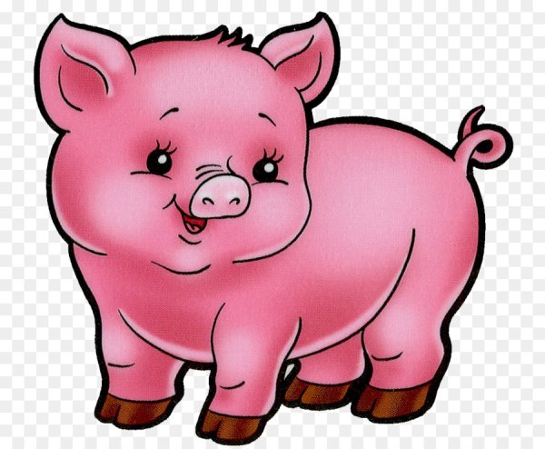 Поросенок на белом фоне для детей