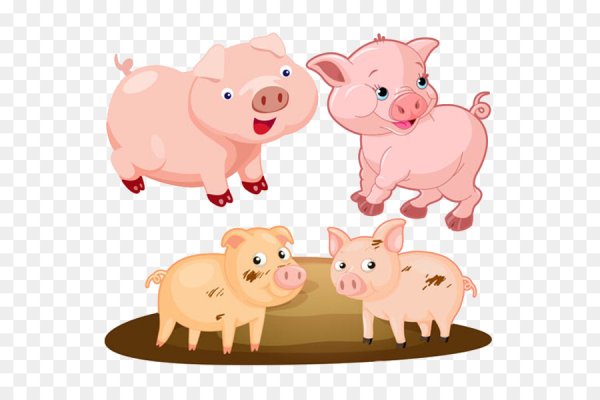 Свинья схематично