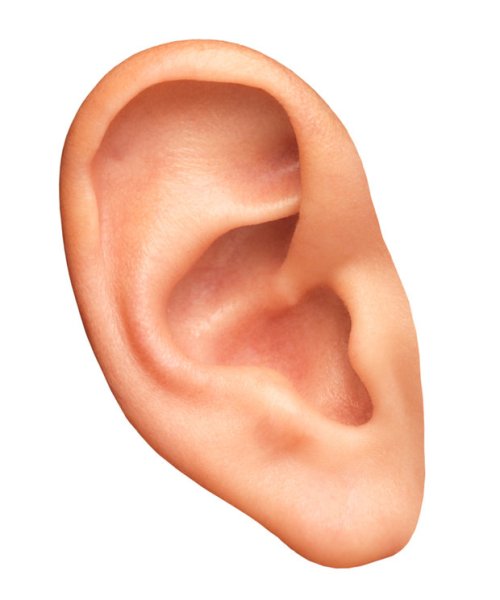 Карточка ухо