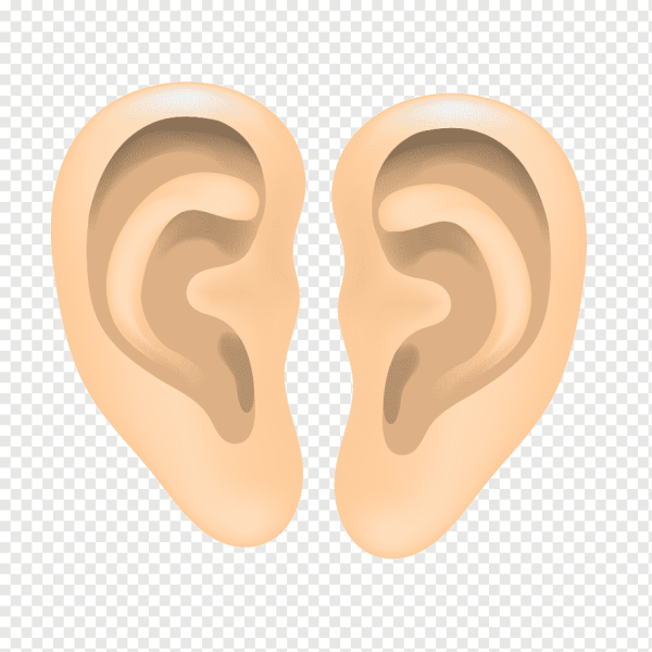 Ухо без фона