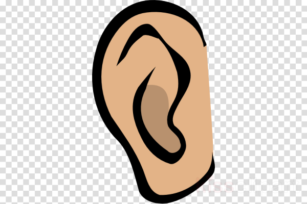 Ухо рисунок для детей