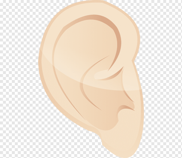 Ухо для фотошопа на прозрачном фоне