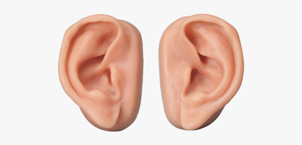 Ухо без фона