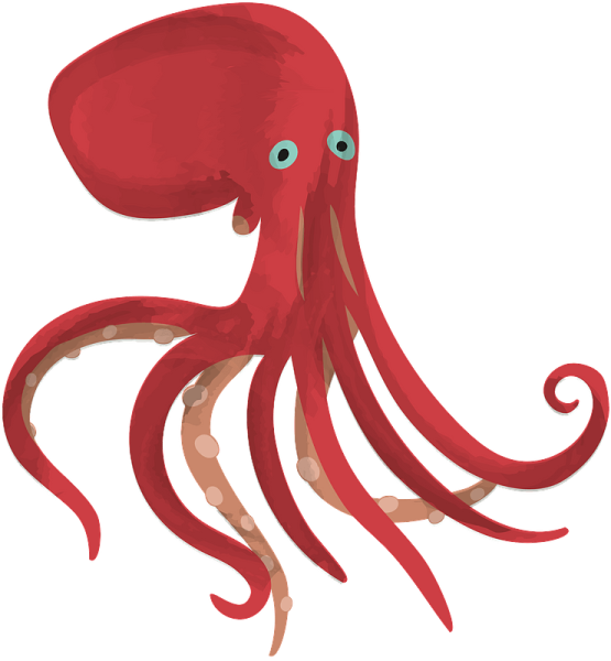 Осьминог клипарт фото