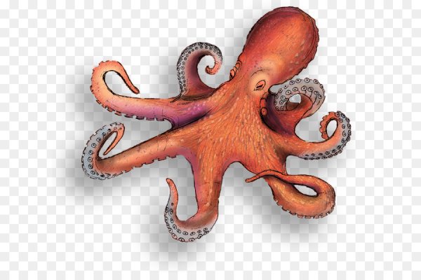 Осьминог для детей