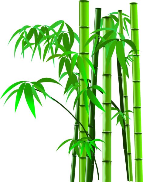 Бамбуковое дерево Green Hell