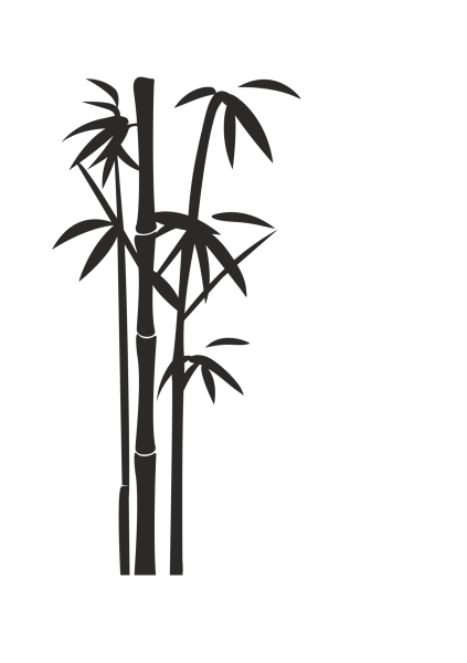 Бамбук черно белый