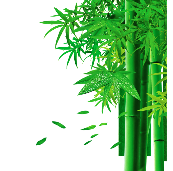 Бамбуковые листья