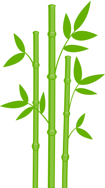 Бамбук для детей