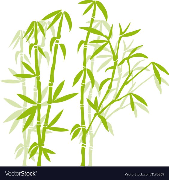 Ветки бамбука силуэт