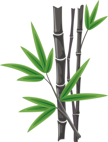 Ветка бамбука
