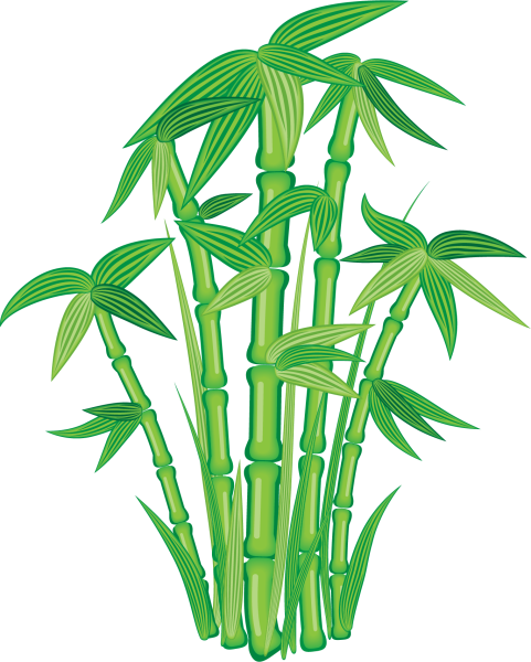 Бамбук рисунок