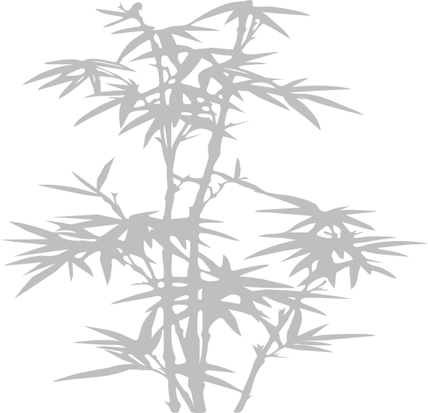 Бамбук тень