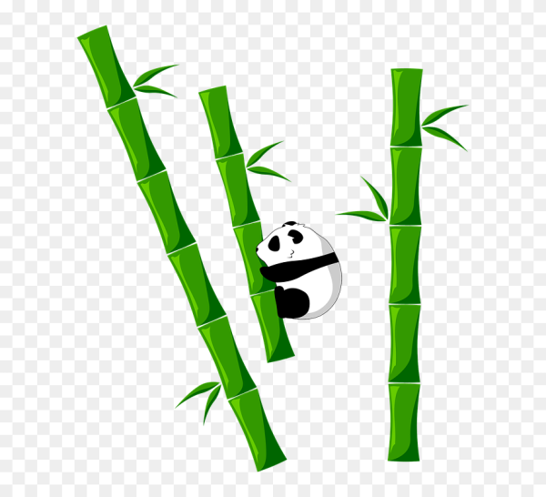 Бамбук рисунок