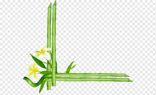 Бамбуковая рамка для фотошопа