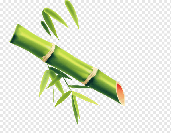 Бамбук для фотошопа