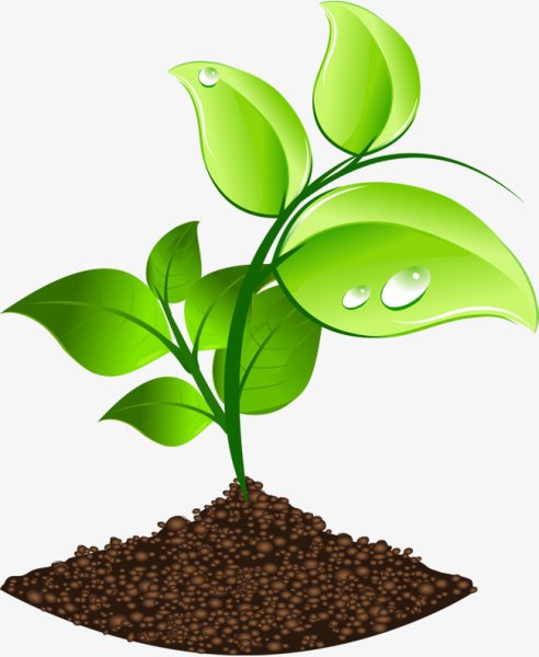 Экологический листок