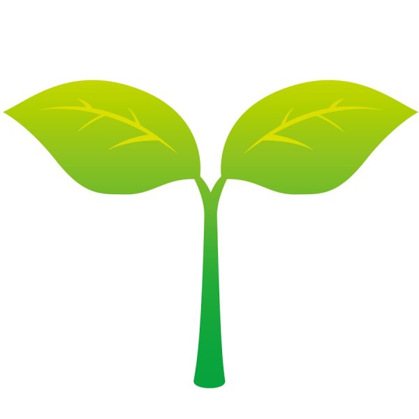 Росточек без фона