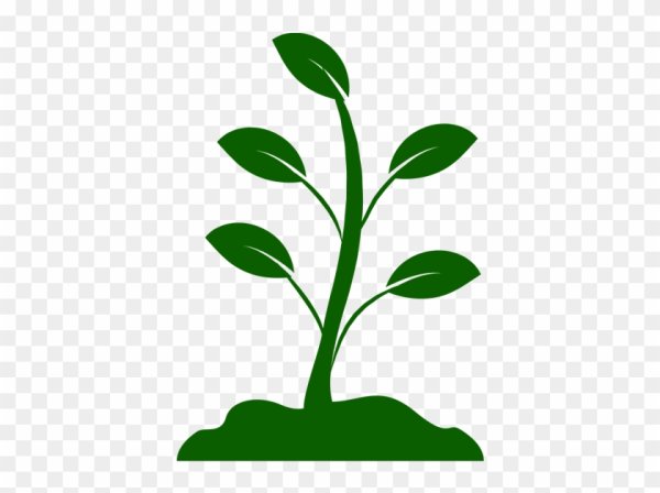 Саженцы вектор