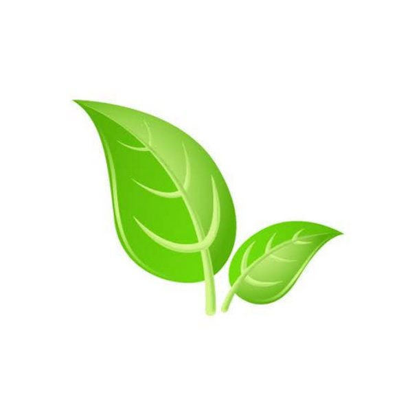 Векторные листочки