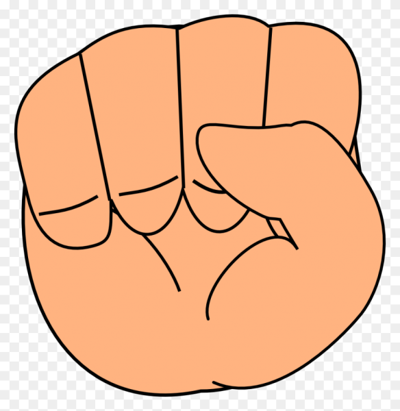 Кулак ладонь