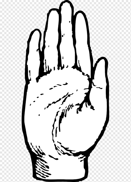 Раскрытая ладонь