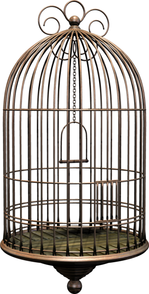 Птичья клетка