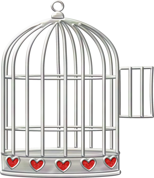 Клетка на прозрачном фоне