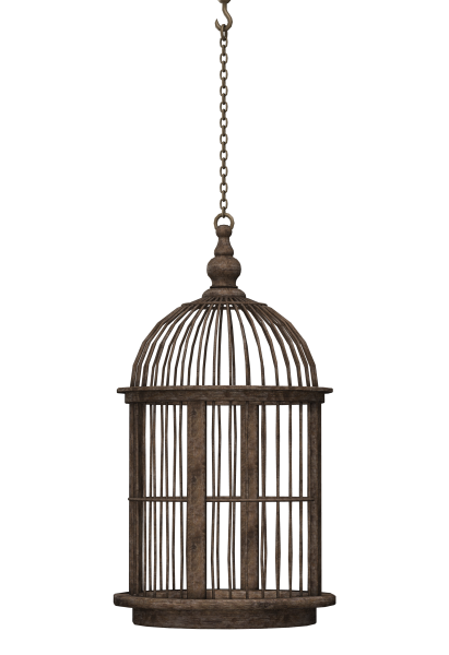 Птичья клетка