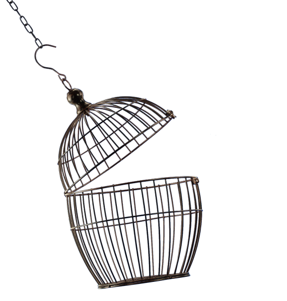 Клетка на прозрачном фоне