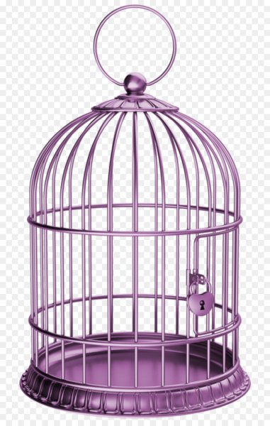 Дети в клетке