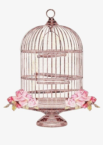 Птичья клетка на белом фоне