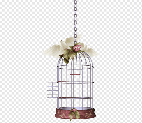 Красивые клетки для птичек