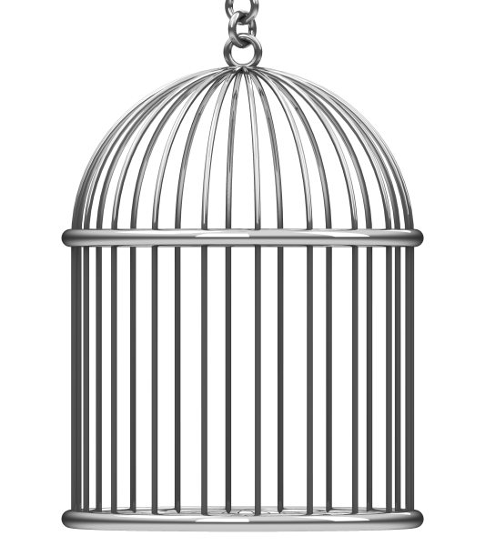 Клетка мультяшная