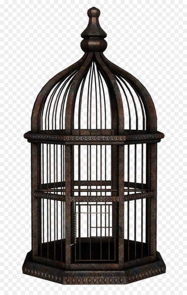 Клетка на прозрачном фоне